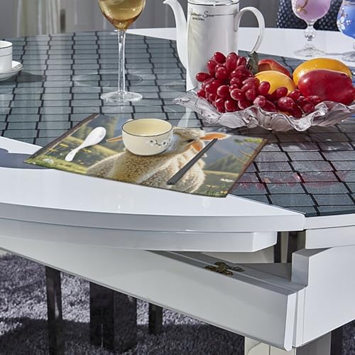 Sets de table thermorésistants antidérapants en toile lavable pour cuisine