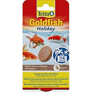 Tetra Goldfish Holiday – Holiday food for all goldfish, healthy nutrition for up to 14 days, 2 X 12 g gel food block