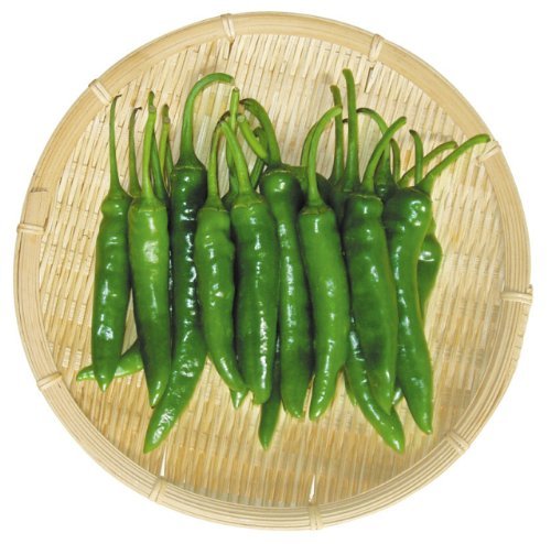 韓国産 青唐辛子 500g