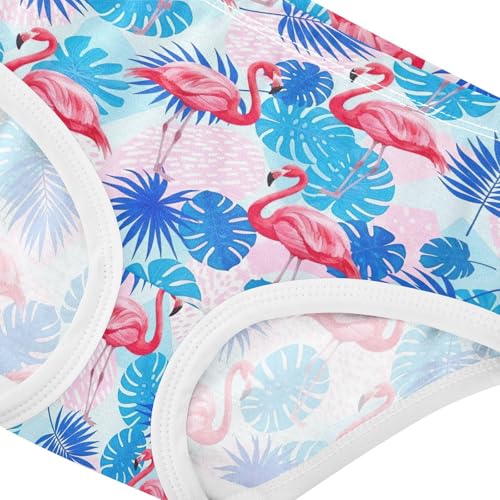 Joisal Vibrant Pink Flamingos Blue Cute Panties Girl Toddlers Underwear Floral Cotton Fancy Undies Kids Briefs 2t4