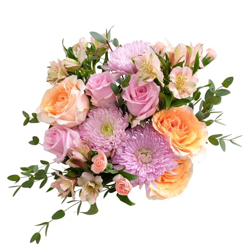 UrbanStems – The Peach Blossom Bouquet (No Vase) – Fresh Flowers for Delivery – Birthday, Thank You, or Congratulations