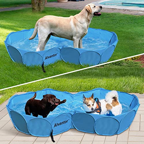 8 Best Dog Pools A Great Way to Let Spot Go for a Swim