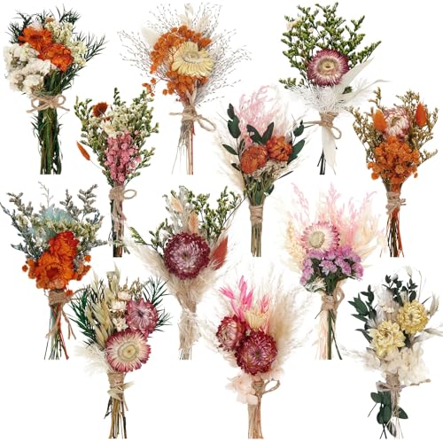 Layhit 12 Pack Boho Dried Flower Bouquet Mini Wedding Handmade Dry Flowers Decor for Vase Crafts DIY Photo Boutonniere for Men Floral Plant for Bridesmaid Gift Birthday Decor(African Daisy)