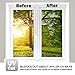 WPCTEV Window Film One Way Mirror Film Privacy Static Non-Adhesive Decorative Heat Control Anti UV Window Tint for Home and Office Green Silver 6 Mil 17.5 Inch x 16.4 Feet