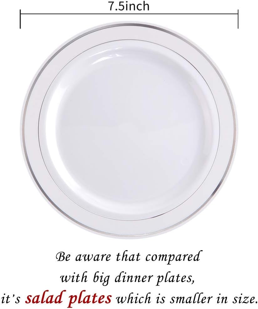 bUCLA 200PCS silver plastic plates-include 100PCS 10.25inch dinner plates and 7.5inch salad plates