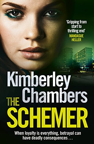 The Schemer: A gripping romantic suspense novel from the Sunday Times bestselling author