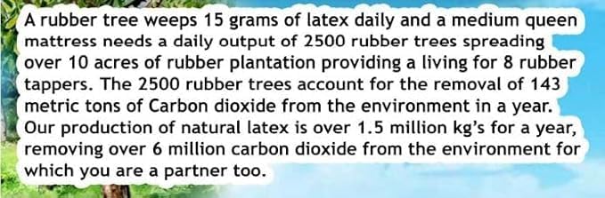 Dunlop Latex Mattress Topper - Medium - 2