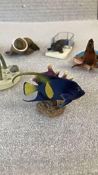 Amazon.co.jp: 鳥羽水族館立体コレクションpart1水の回廊&海獣