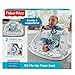 Fisher-Price Portable Baby Chair Sit-Me-Up Floor Seat With Developmental Toys & Machine Washable Seat Pad, Pacific Pebble