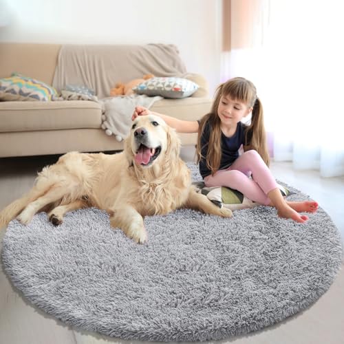 Soft Round Area Rug for Kids Bedroom, Fluffy Fuzzy Shaggy Rug 4'X4'for Living Room, Non Slip Circle Plush Rug for Girls Room Nursery Dorm Decor,Light Grey