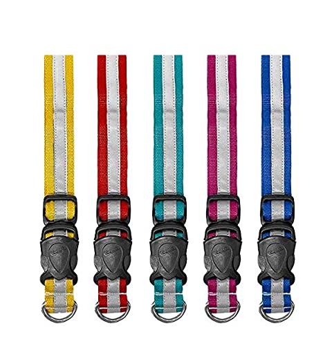 PSK pet mart a Little Reflective Collars (Mixed Colours) - Pack of 5, Dogs, Nylon, (B09MQSCYGL) Amazon Price History, Amazon Price Tracker
