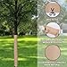200Ft x 4'' Tree Wrap for Damaged Bark, Weather Resistant Tree Trunk Protectors Wraps with Double-Sided Tape, Breathable Tree Bark Repair Wrap Bandage to Keep Warm