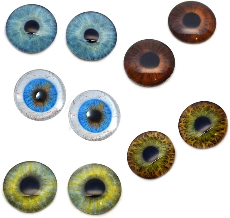 5 Pairs Realistic Human Glass Eye Discounted Bundle II Set of 10 Eyes - Bulk Wholesale - Taxidermy Art Sculptures or Jewelry Making Supply (14mm)