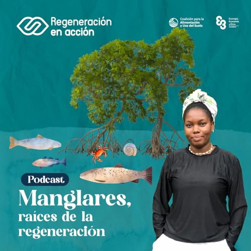 Ep. 4 Manglares, raíces de la regeneración cover art