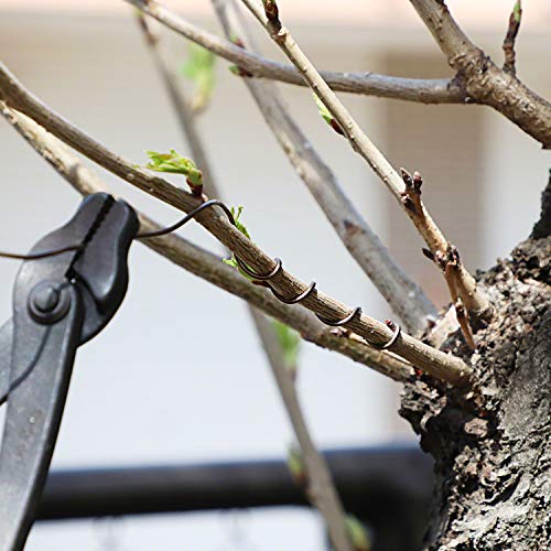 Wazakura Aluminium Bonsai-Trainingsdrah 150 g, Made in Japan, Japanischer Bonsai Draht zum formen von Ästen und Stämmen (2,0mm Braun)