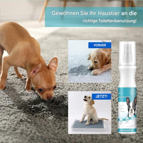 Duqulle Stubenrein Spray Für Hunde | Kot Auslöser Für Welpen - 150 ml Hundetoilettentrainingsspray für Teppich Möbel Innenbereich Garten Couch Außenbereich Haushalte Mit Mehreren Haustieren