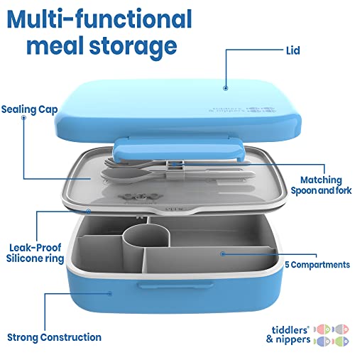 tiddlers & nippers 5 Compartment Lunch/Bento Box for Kids & Adults!, Plain Blue, 22cmx18.2cmx6.6cm - Image 2