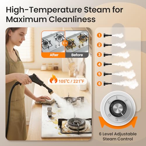 Easywox 2500W 6-Level Steam Gun