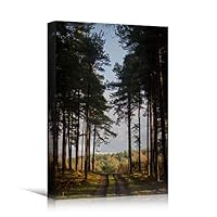 Canvas Wall Art Green Forest Dramatic Forest Landscape Living Room Multicolor Photography Rustic - 12x18 inches