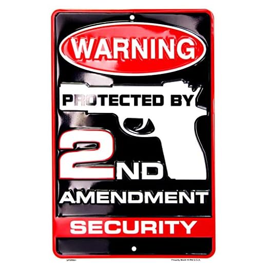 Tag City Novelty SP80063 Warning Protected By 2nd Amendment Security Metal Sign, (8 X 12 Inches)
