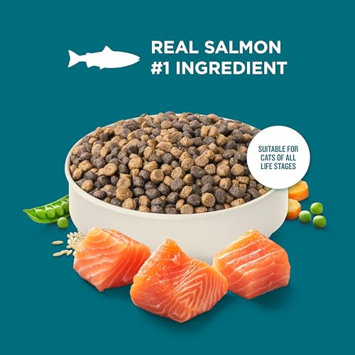 Nutrish Dry Cat Food, Salmon & Brown Rice Recipe, 5 lb. Bag (Rachael Ray) - image 4