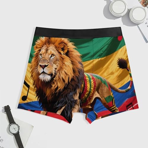 Men's Swim Briefs Bulge Swim Trunks3