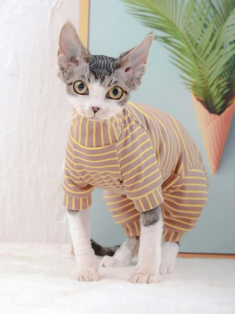 Ropa para gatos Sphynx ideal para proteger su vientre del frío en casa