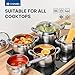 Daniks Modern 10-Piece Stainless Steel Cookware Set with Glass Lids, Includes Saucepan, Tri-Ply Bases for Even Heating, Induction Compatible, Dishwasher Safe, Heatproof Handles