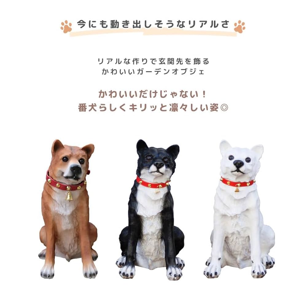 わんわん犬 Amazon | Brightkins わんわんマジック！トレーニングセット