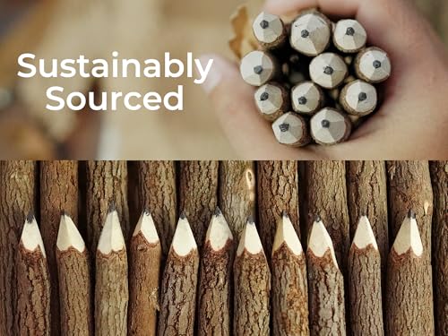 BSIRI Pencil Wood Graphite Wooden Tree Rustic Twig Pencils Birch of 12 Camping Lumberjack Decorations Party Supplies Novelty Gifts Bark Pencils Gifts for Kids in Classroom