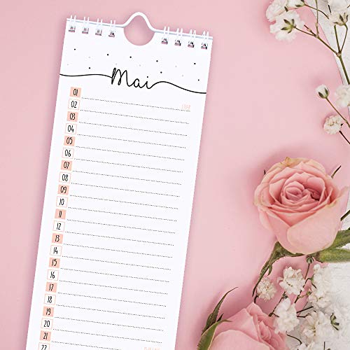 CUPCAKES & KISSES® Geburtstagskalender I Jahresunabhängig zum Selbstgestalten I Kalender immerwährend I Vergiss nie wieder einen Geburtstag Bunt