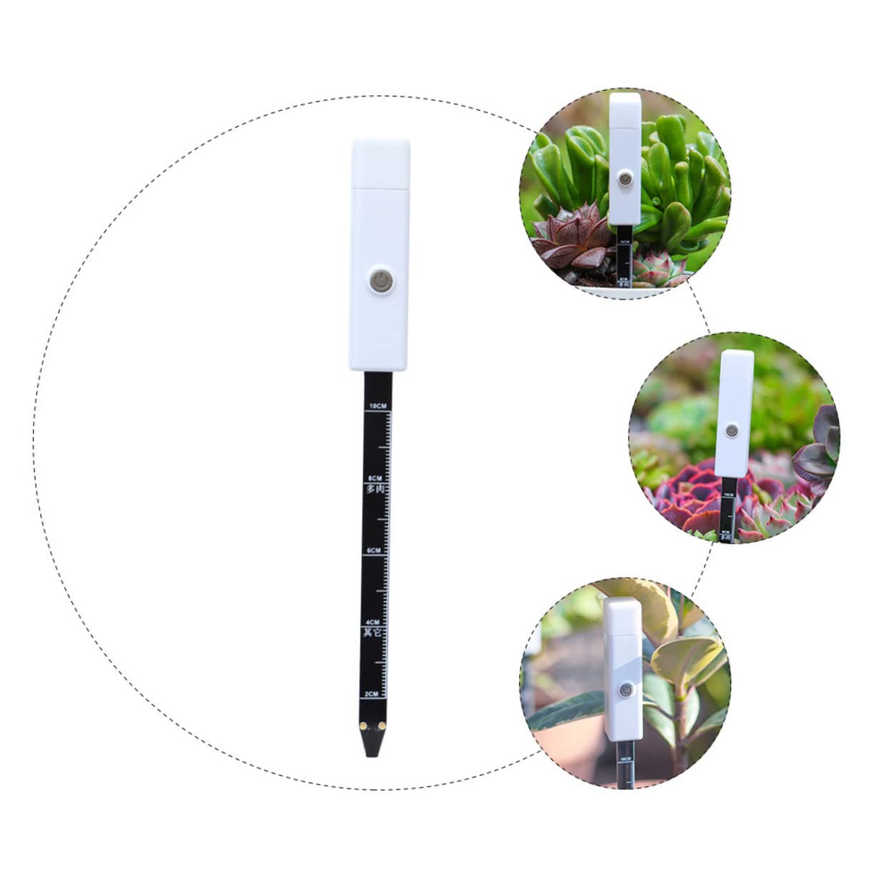 BESPORTBLE 3 Pièces Détection De L'humidité du Sol Usine Mètre Médite De Jardin Capteur pour Numérique Compteur De Sol Détecteur D'humidité Testeur De Sol De Jardinage Le Fer Blanche