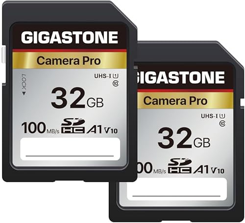 Gigastone Paquete de 2 tarjetas SD de 32 GB, cámara Pro, tarjeta de memoria SDHC A1 V10 SDHC de alta velocidad de video Full HD compatible con