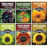 Sunflower Seeds Collection for Planting | 6 Variety Pack – Autumn Beauty, Black Russian, Chocolate Cherry, Sungold, Lemon Queen & Mexican Sunflower – Heirloom Non-GMO – Survival Garden Seeds