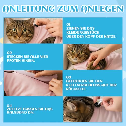 2 Stück Postoperative Katzenbekleidung, Katzenbody Nach Op, Katzen Body Für Katzen Operation, Bequeme Kleidung In Blau Und Rosa