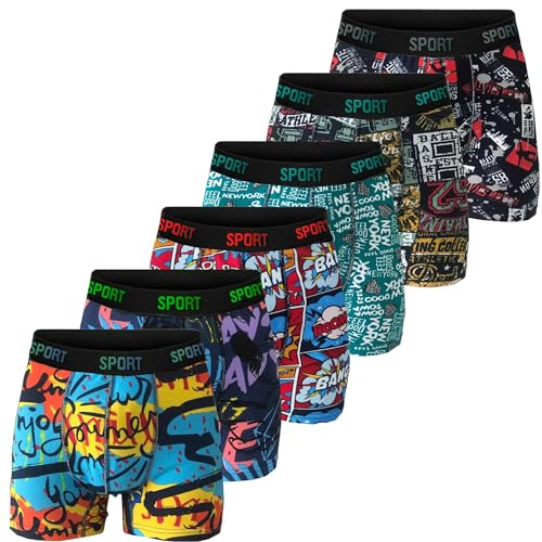 VIEN&KARL Erkek 6’lı Kutu Premium Boxer Desenli XL