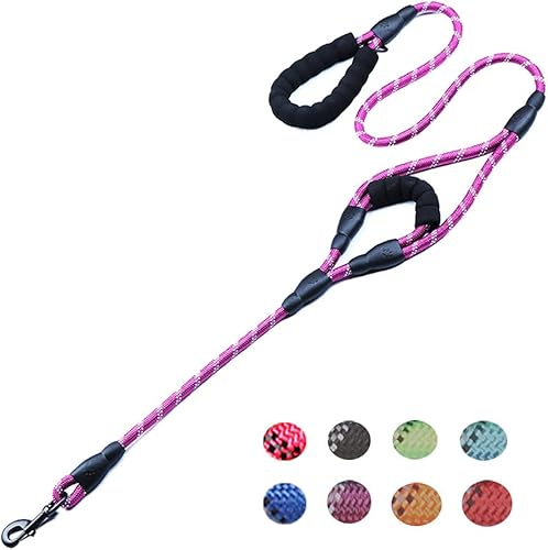 Love Dream Correa para perro de 5 pies de largo con 2 cómodas asas acolchadas, hilos reflectantes, doble asa para control de seguridad, correa de