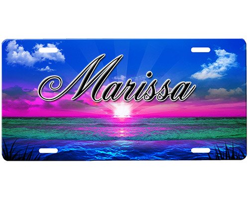 onestopairbrushshop Beach Scene License Plate onestopairbrushshop Beach Scene License Plate