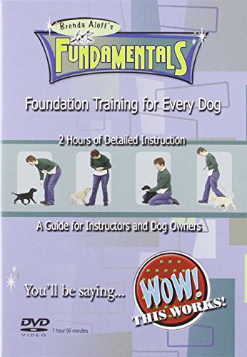 Foundation Training for Every Dog (Fundamenals)