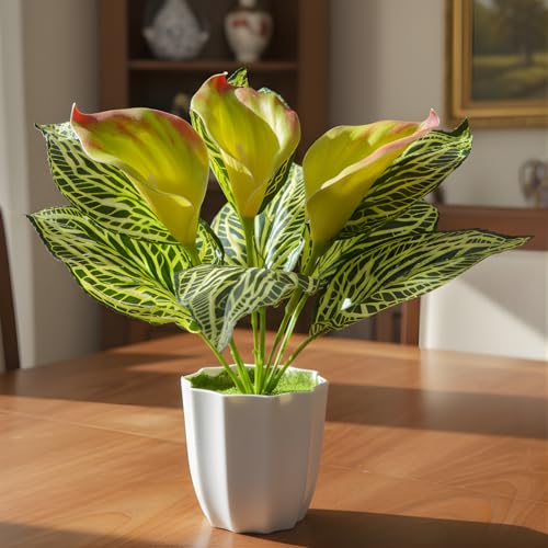 Image of fancymart Artificial Calla Lily Plant with Pot - 30 cm Height Decorative Flower Leaves (Pack of 1) | Realistic Faux Plant for Home & Office Decor | Table, Shelf & Desk Decoration