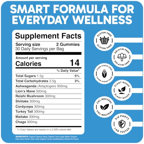 Braina Mushroom Gummies For Focus And Energy