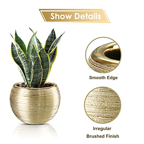 Oairse 4.5" 5.5" Gold Planters For Indoor Plants Set Of 2 Gold Plant Pots Small Flowerpot Ceramic Houseplant Planters Succulents Pots For Orchids Snake Plants #TOP6
