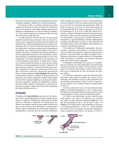 Dermatologia de Sampaio e Rivitti