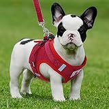* Hunde Laufgeschirr Größe - S (Brustumfang: 36 cm. Für Haustiere von 1.5 bis 2.5 kg). M (Brustumfang: 40 cm. Für Haustiere von 3 bis 4.5 kg). L (Brustumfang: 46 cm. Für Haustiere von 5 bis 7 kg).