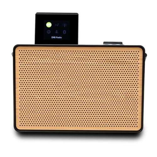 Pure Evoke Play   Sistema de música portátil para Interior y Exterior (Dab+/FM, Radio por Internet, Spotify Connect, Bluetooth), edición Especial, Color Negro y Madera