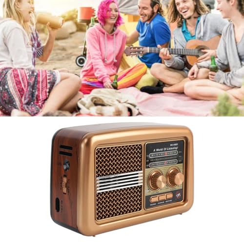 Radio portátil AM FM SW con Bluetooth, doble alimentación miniatura 5