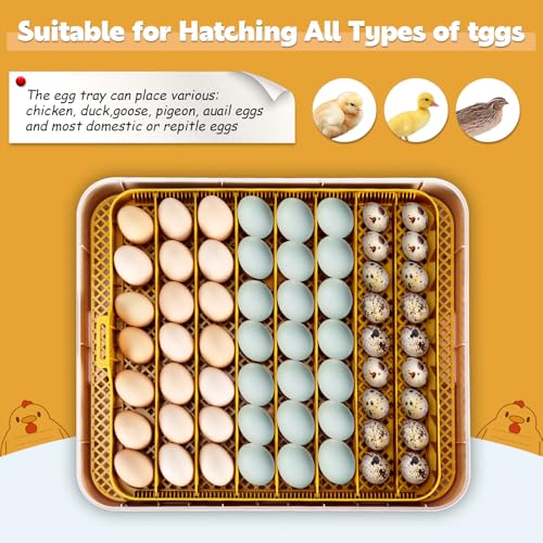 Qersta - Peine De Limpieza De Cartucho - Piscina En Oferta Qersta - Peine De Limpieza De Cartucho - Piscina - Imagen 6