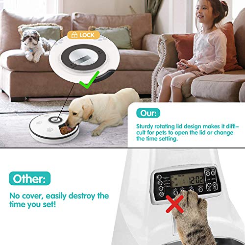 Chintu Automatic Cat Feeder, Auto Cat Food Dispenser - 6 Meals Pet Wet Food Dispenser For Small Dog With Programmable Timer Portion Control Timed Cat Feeder With Voice Reminder #TOP5