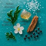 Great Sea by LAROME | Perfume de Nicho Unisex | Fragancia...