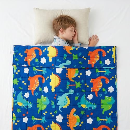 Dinosaur Theme Weighted Blanket Fluffy Quilted Pockets Throw with Non-Toxic Glass Beads Therapy Anxiety Relief Insomnia Autism Soft and Cozy Colourful Dino Throw Blanket 100 x 150cm - 3kg